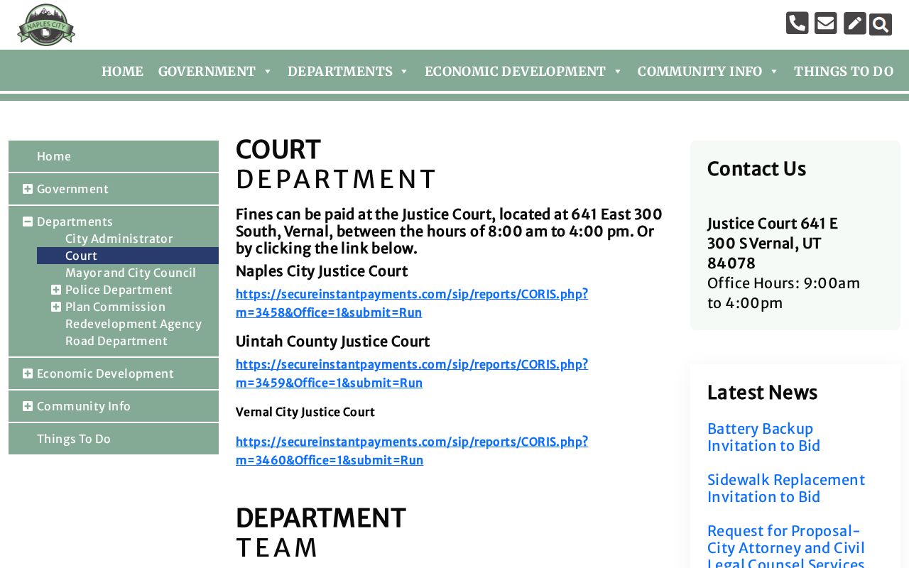 Naples court docket official city court and payment page